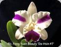 Rlc. Fong Yuan Beauty Da Hsin 7